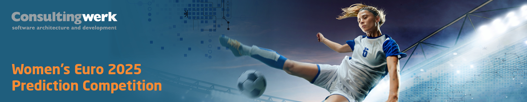 Consultingwerk Euro25