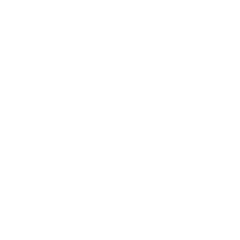 ESM Computer