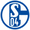 FC Schalke 04