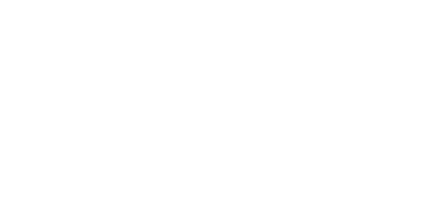 MEGexternWM