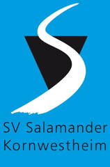 SVK Tipp- WM 2026